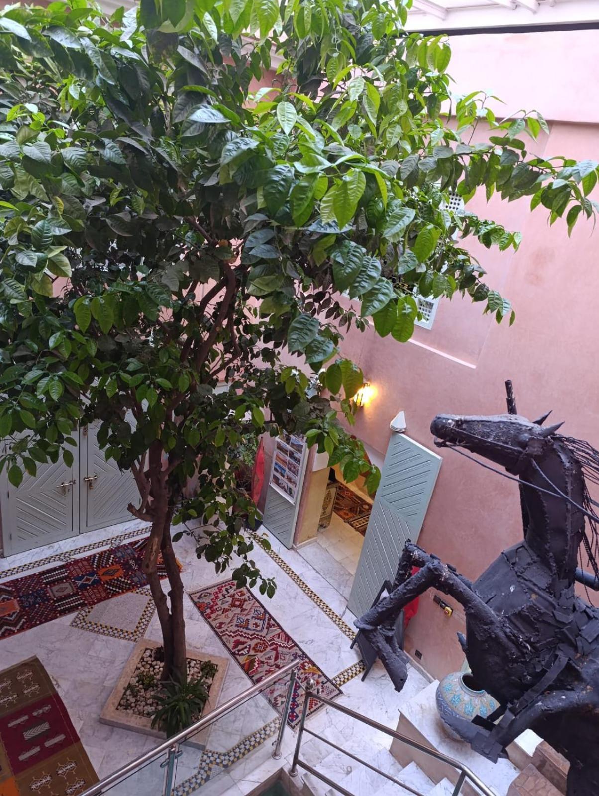 Riad Moullaoud มาร์ราเกช ภายนอก รูปภาพ